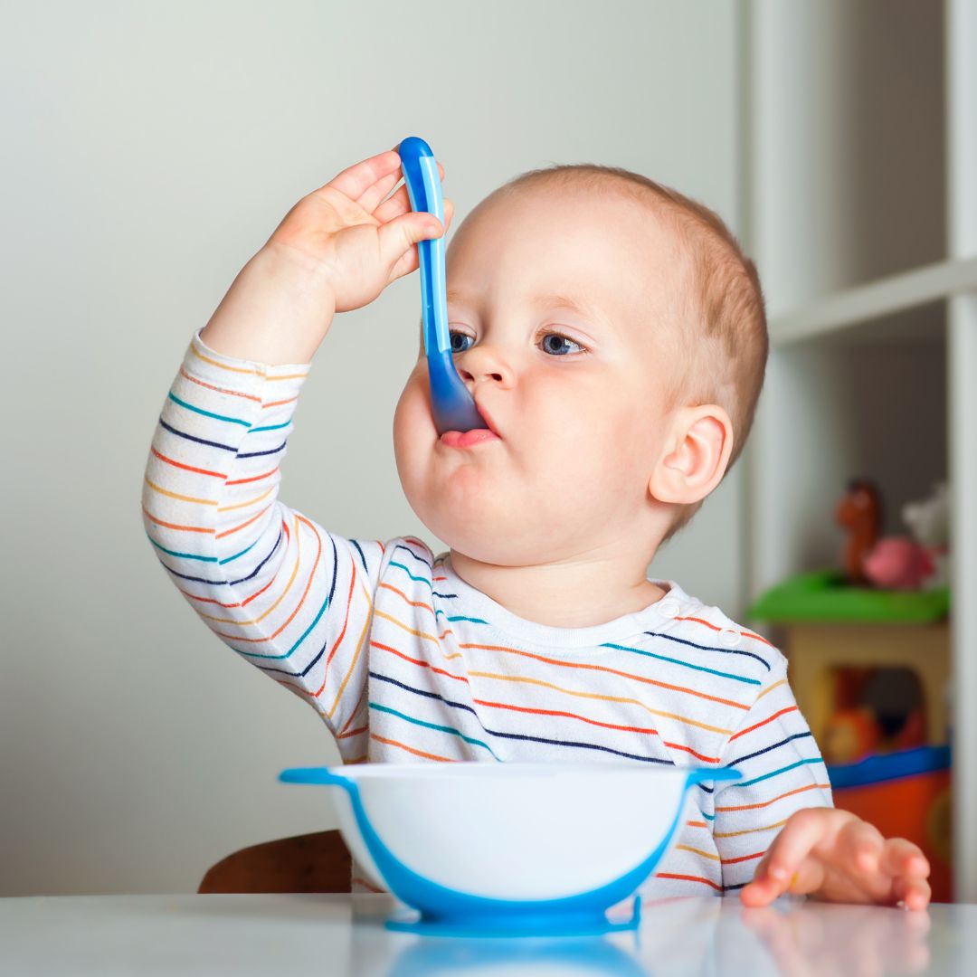 toddler feeding