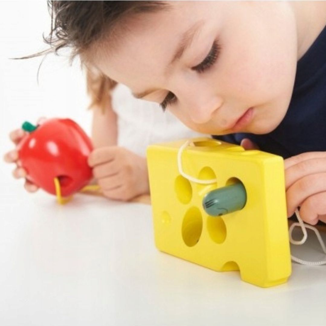 Montessori style toys