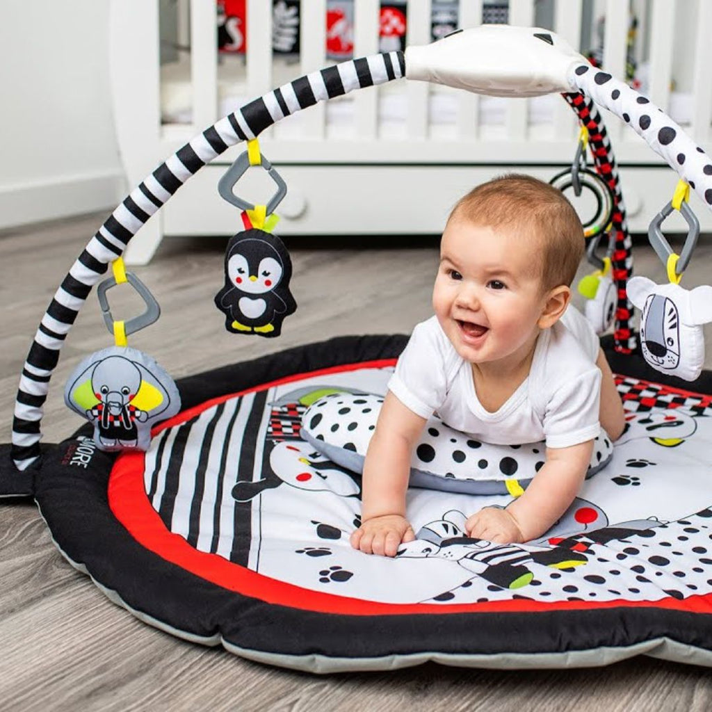 Baby playmats & gyms