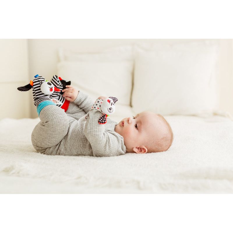 Balibazoo Sock And Hand Rattle Set 0m+