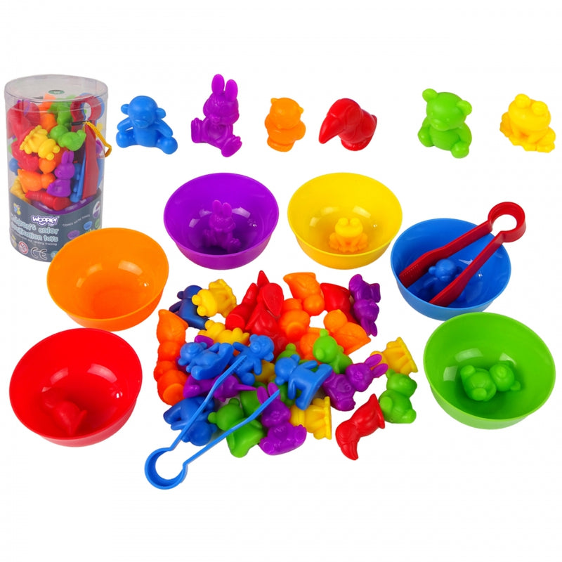 Woopie Montessori Style Colour Classification Toy - 4 Designs