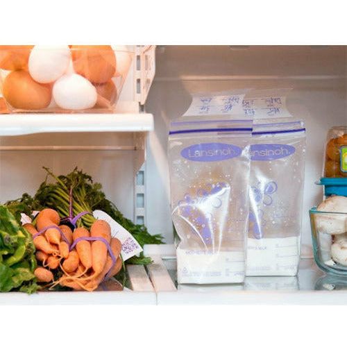 Gray Lansinoh Milk Storage Bags - 2 Sizes